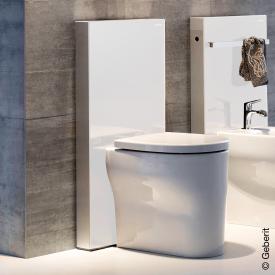 Geberit Monolith Plus Sanitärmodul für Stand-WC H: 101 cm, Glas weiß